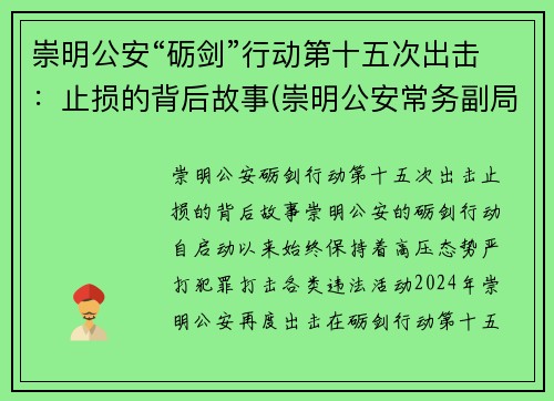 崇明公安“砺剑”行动第十五次出击：止损的背后故事(崇明公安常务副局长)