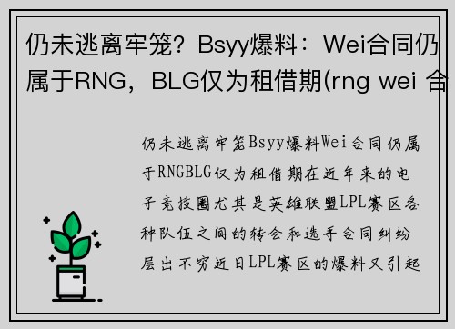 仍未逃离牢笼？Bsyy爆料：Wei合同仍属于RNG，BLG仅为租借期(rng wei 合同)