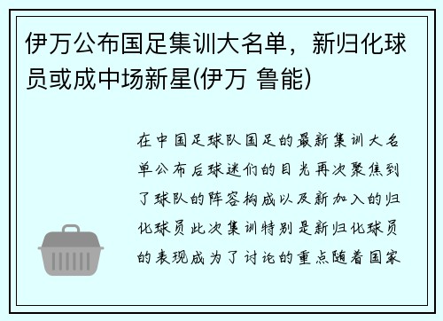 伊万公布国足集训大名单，新归化球员或成中场新星(伊万 鲁能)